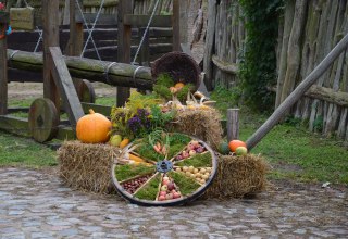 Erntedankfest auf dem Hanseviertel, © Hansestadt Demmin