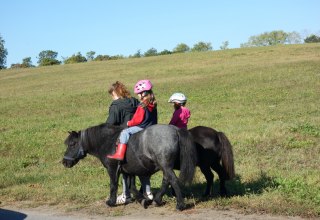 Lisa beim Ponnireiten mit Franklin und Tomy, © Anja Debniak