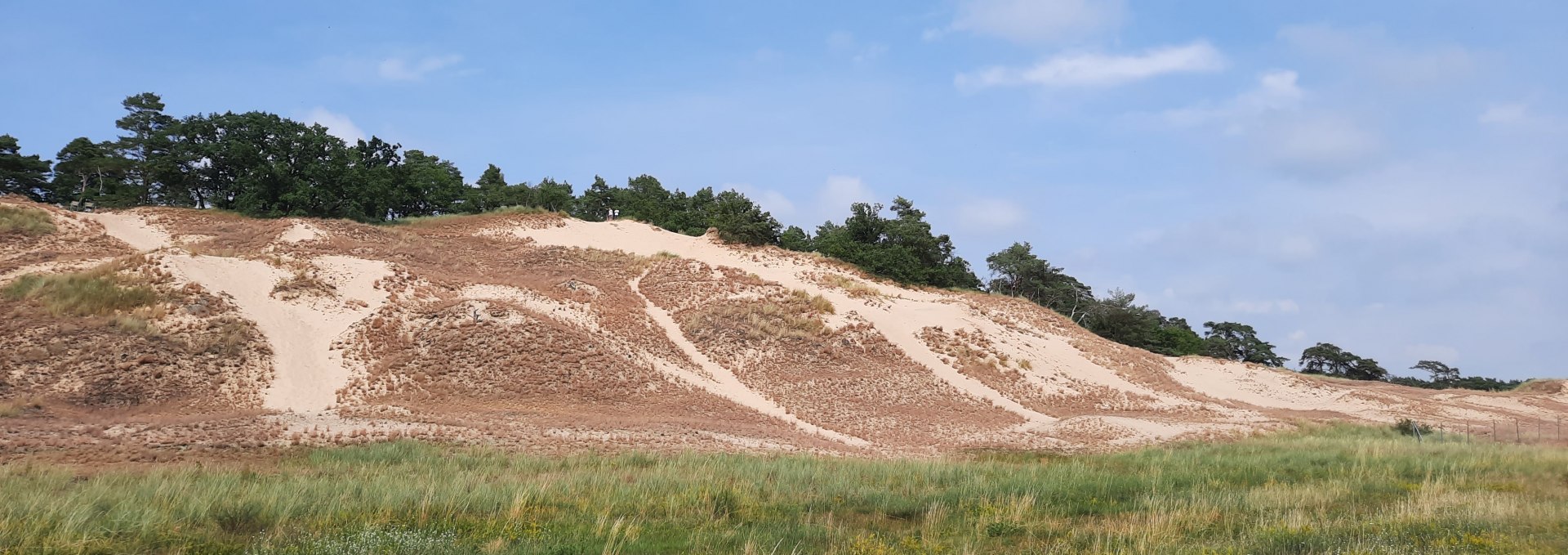 Binnendüne Klein Schmölen, © M. Lenthe