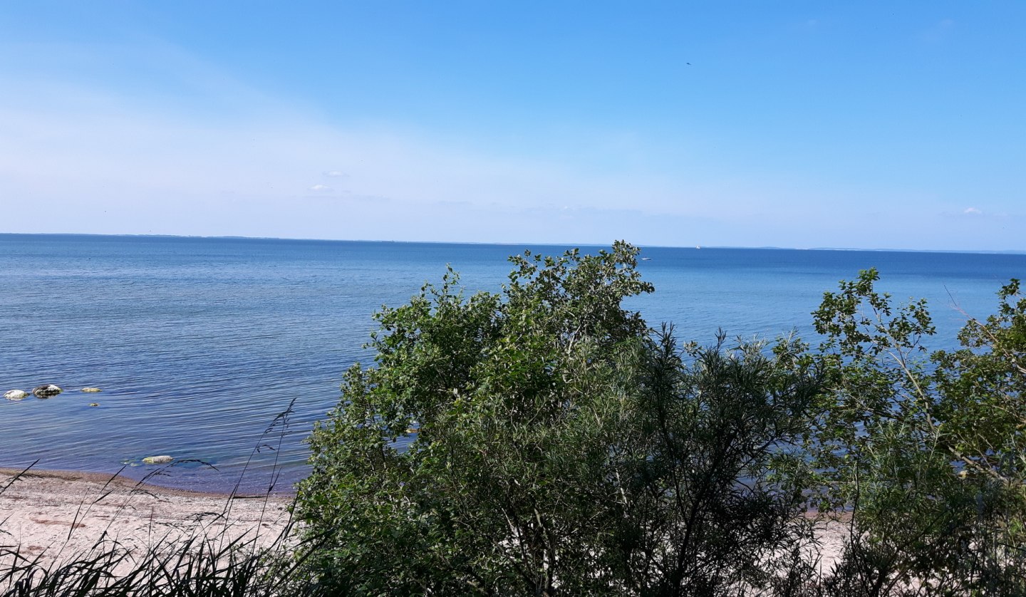 Steine und Muscheln sammeln und dabei einen tollen Blick auf die Insel Rügen, © tvv-michaelis