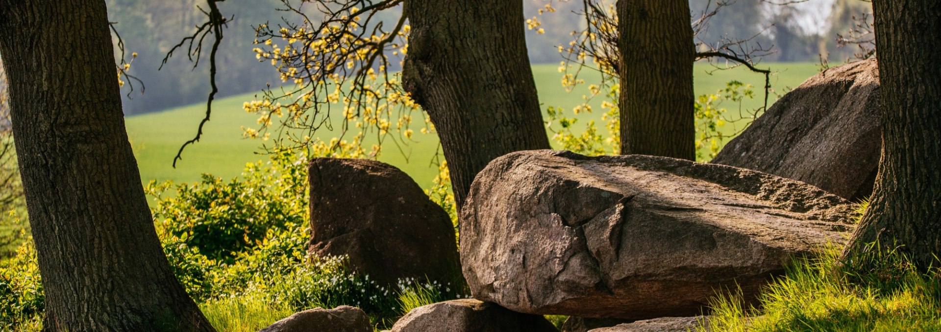 Wanderung: Giganten der Steinzeit - Die Häuser der Toten, © Binzer Bucht Tourismus | Ch. Thiele