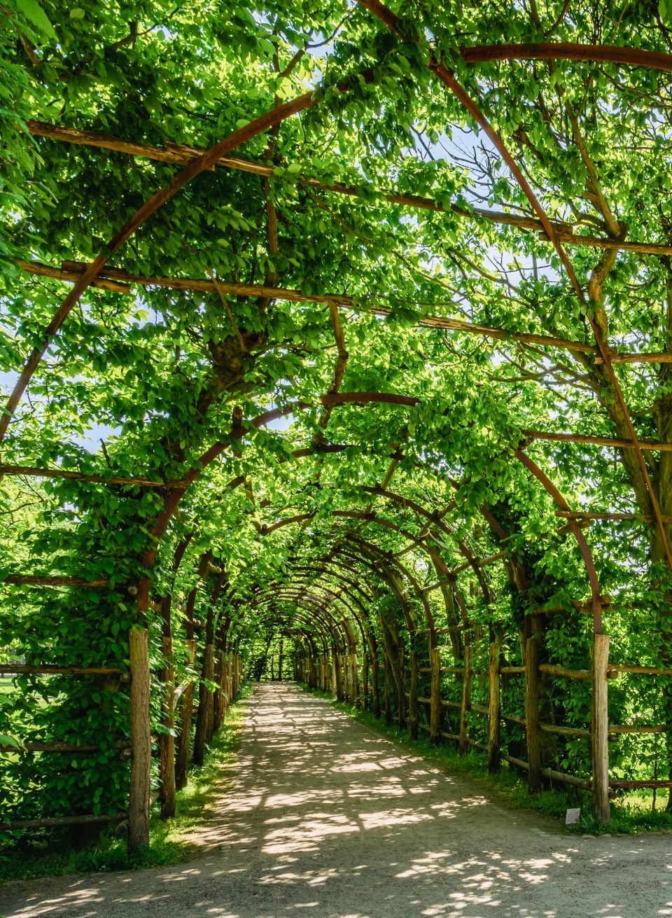 Die beiden parallel verlaufenden Laubengänge im Schweriner Schlossgarten wurden vor 160 Jahren von Theodor Klett angelegt.   , © TMV/Tiemann