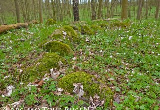 versteckt im Laubwald liegen die über 400 Hügelgräber aus der Slawenzeit, © Archäo Tour Rügen