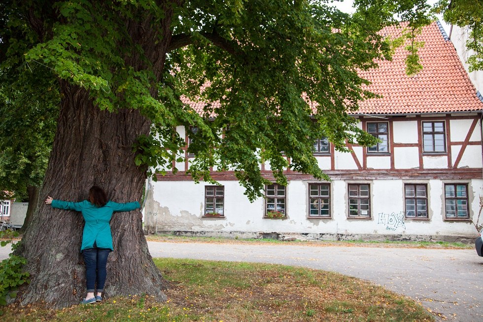 Klostergebäude mit Linde, © Frank Burger