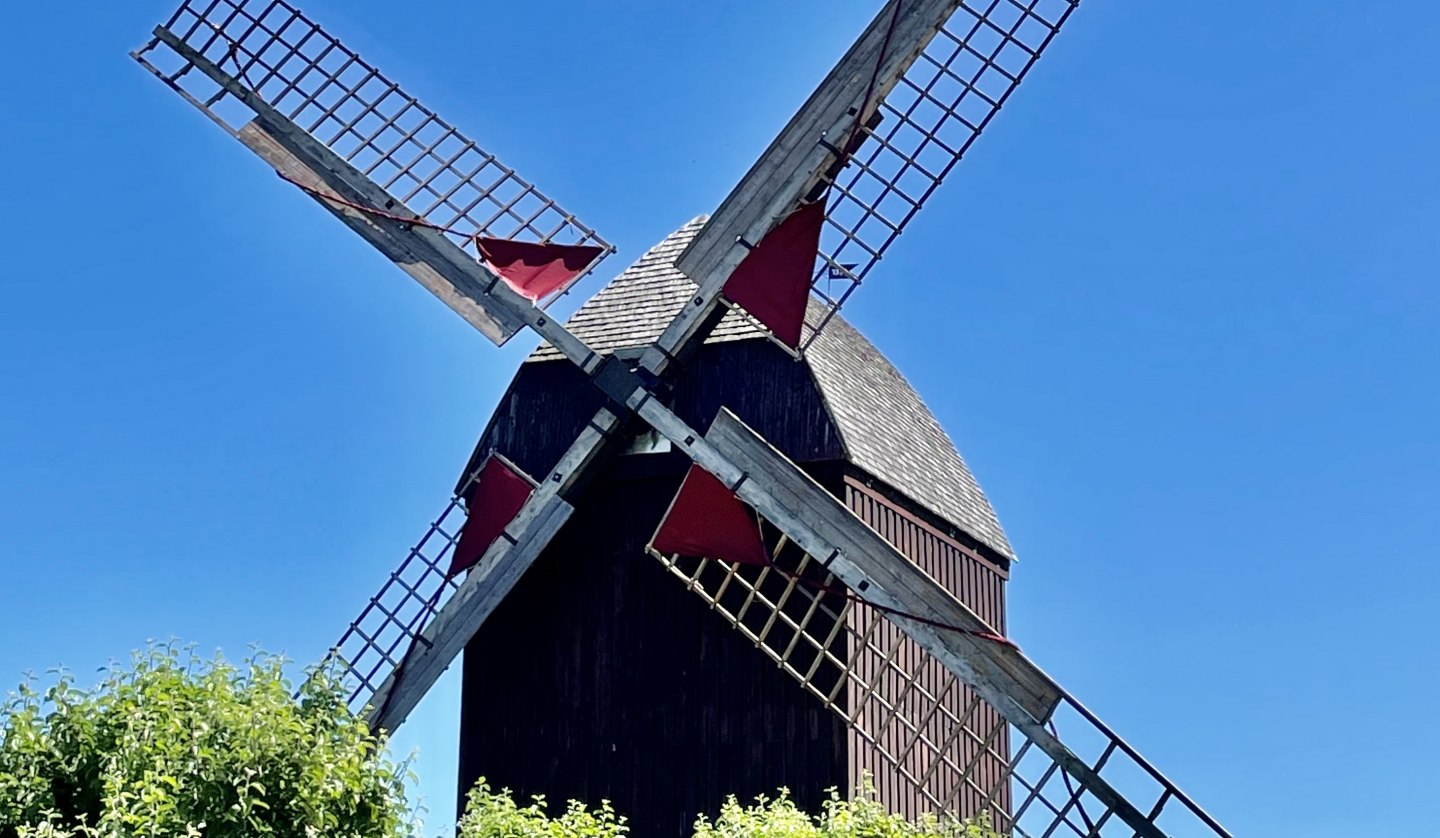 Bockwindmühle Eldena, © Gudrun Koch