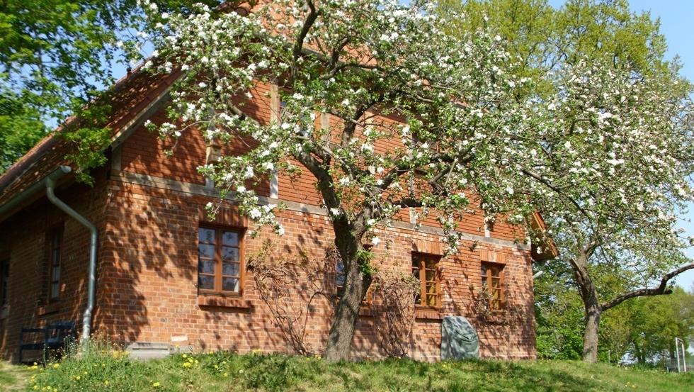 Nicht nur zur Apfelblüte lädt der Hof zum Verweilen ein, © Archiv, Biosphärenreservatsamt Schaalsee-Elbe