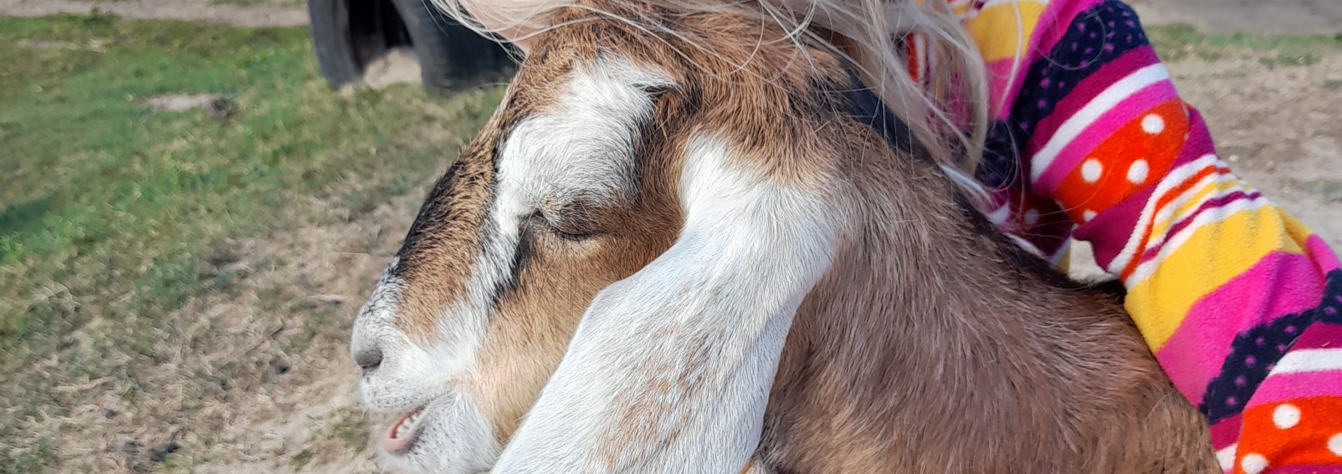 Unsere kleine Burderei, © Andrea Hauser