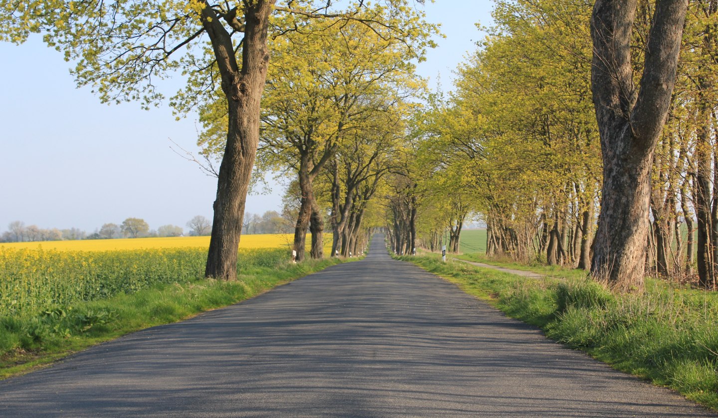 Unterwegs in Vorpommern, © Tourismusverband Vorpommern e.V.