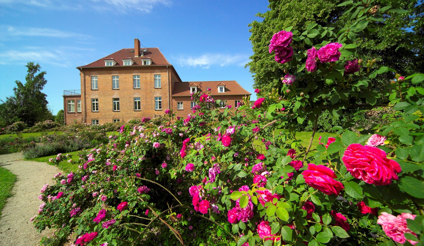 Gottiner Rosenpark mit über 2.000 Rosen in mehr als 200 Sorten, © Gutshaus Gottin