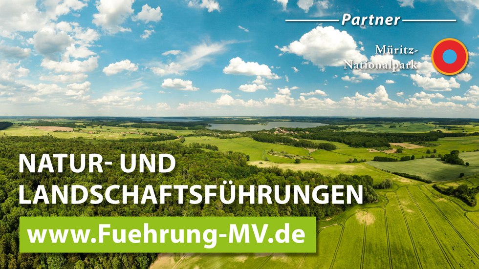 Geführte Radwanderungen im Müritz-Nationalpark mit Führung MV, Martin Hedtke, © www.fuehrung-mv.de