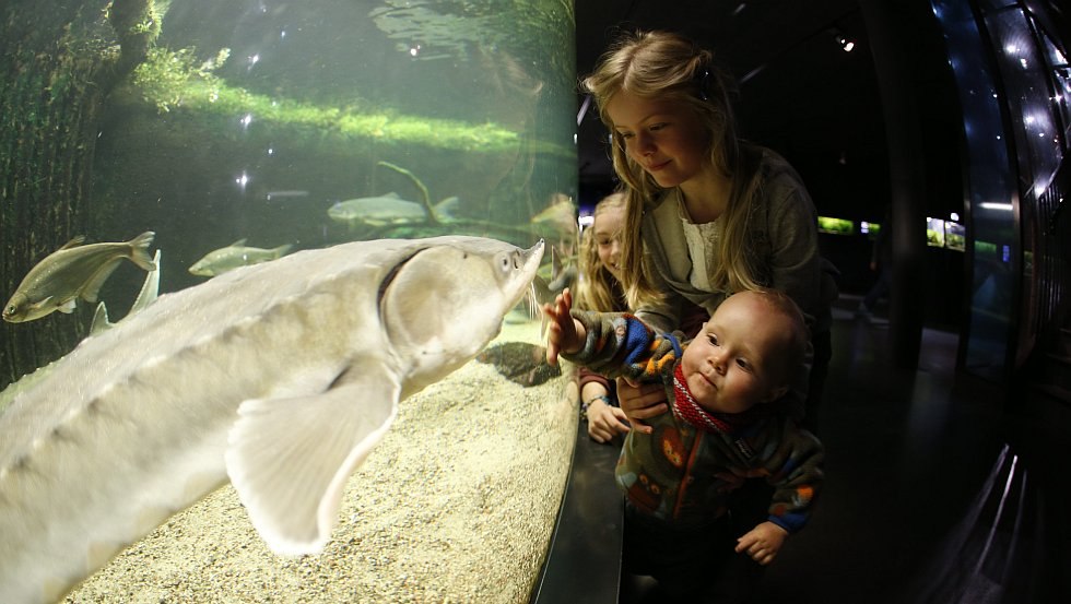 Müritzeum: Reise in die verborgene Welt der Meeresbewohner, © TMV/outdoor-visions.com