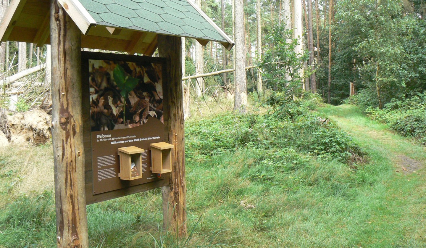 Infotafel des Walderlebnispfades, © Nationalparkamt Müritz