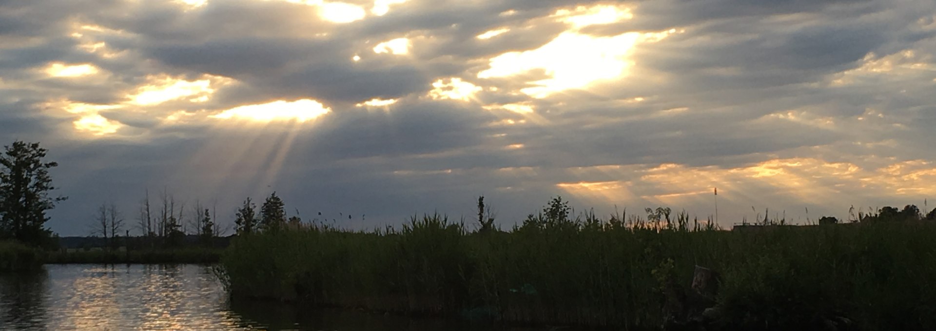 Abendstimmung an der Peene, © Mecklenburgische Seenplatte