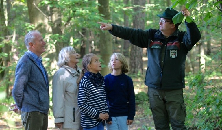 Wanderung mit dem Revierförster, © forstwanderung_herbst__c__henry_b__hm.jpg