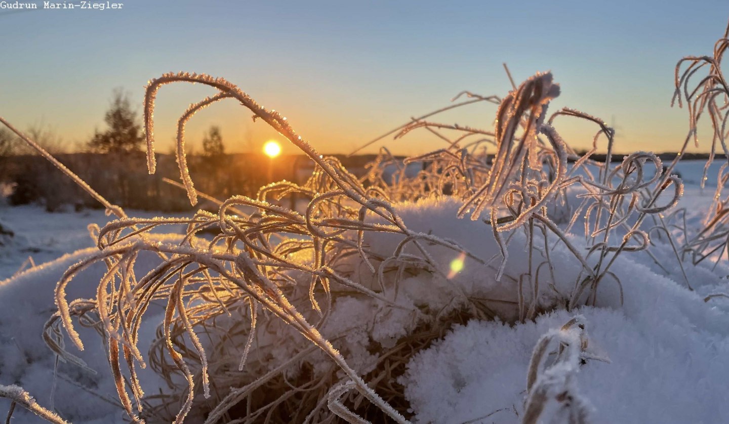 Paul Blei vom Förderverein wird mit Ihnen Spuren im Schnee (sofern vorhanden) suchen, Knospen und Zweige im Winterzustand bestimmen und die Überwinterungsstrategien der Insekten erläutern. Wer also Lust hat, seinen Kreislauf nach dem Winter wieder in Schwung zu bringen und frische Luft zu atmen, ist herzlichst bei dieser Wanderung rund um Burg Schlitz eingeladen., © Marin-Ziegler