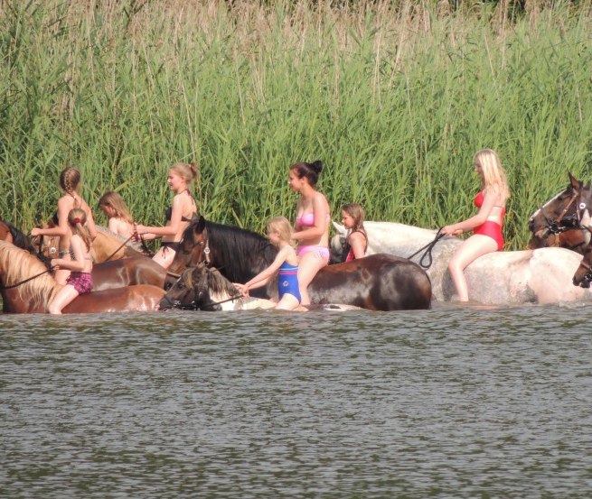 In der Region Goldberg-Mildenitz mit Pferden ins Wasser reiten, © Tourismusverein Waelder, Seen und Mehr e.V.