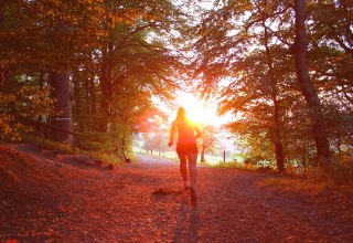 Symbolfoto | Graal-Müritzer Schneckenlauf, © Foto von Nathalie Désirée Mottet auf Unsplash