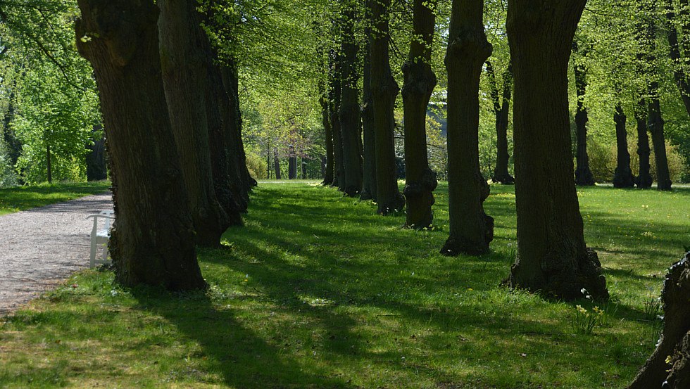 Hippodrom - Historische Reitbahn im Schlossgarten, © Tourismusverband Mecklenburg-Schwerin