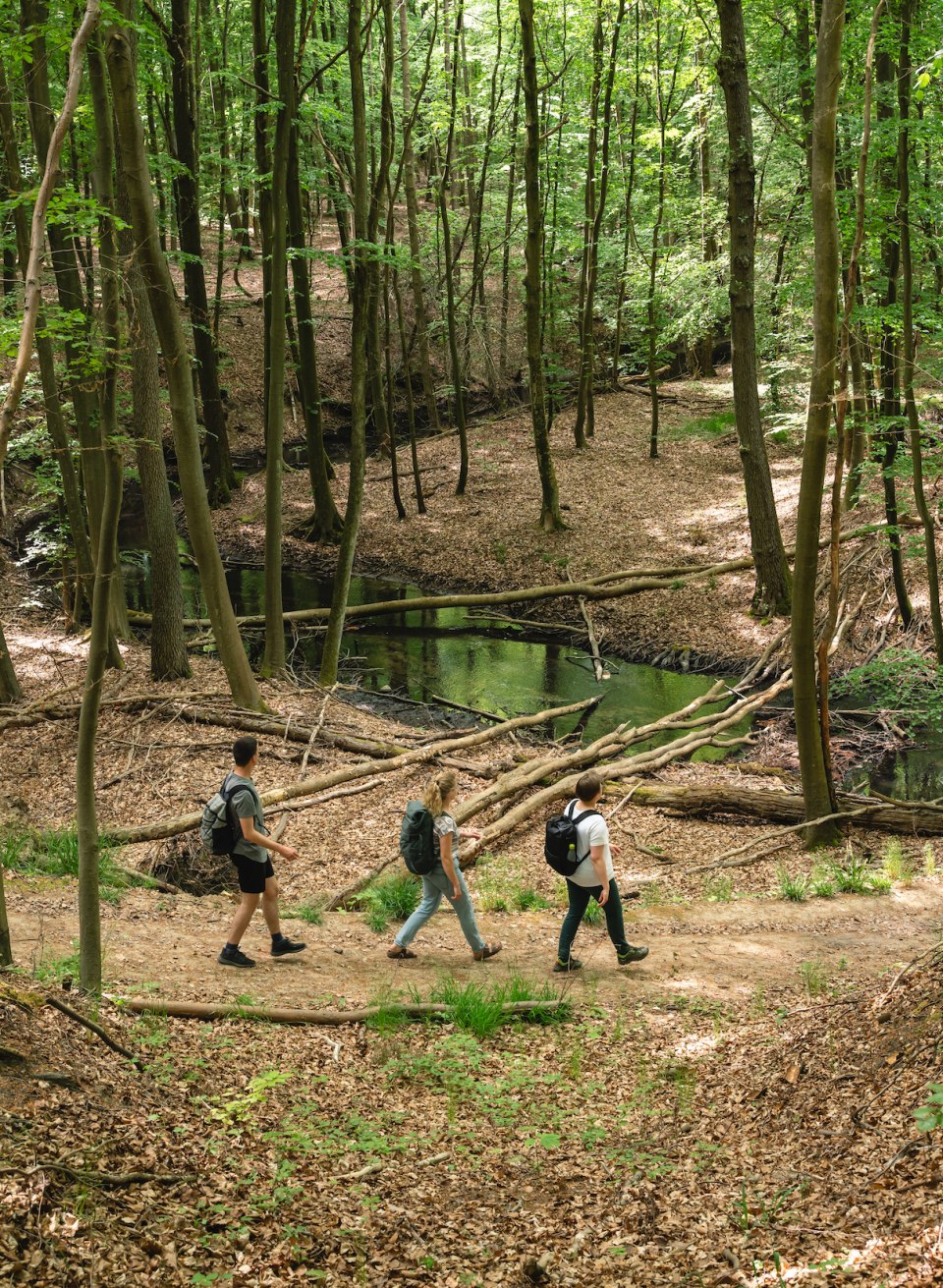 Schritt für Schritt ins Wanderglück: Im Radebachtal ist die Natur besonders wild! Kein Wunder, dass der Biber sich hier besonders wohlfühlt. , © TMV/Gross