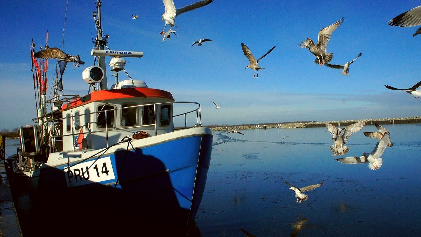 Dei Lütt Fischhall_Foto des Fischkutters, © Grählert