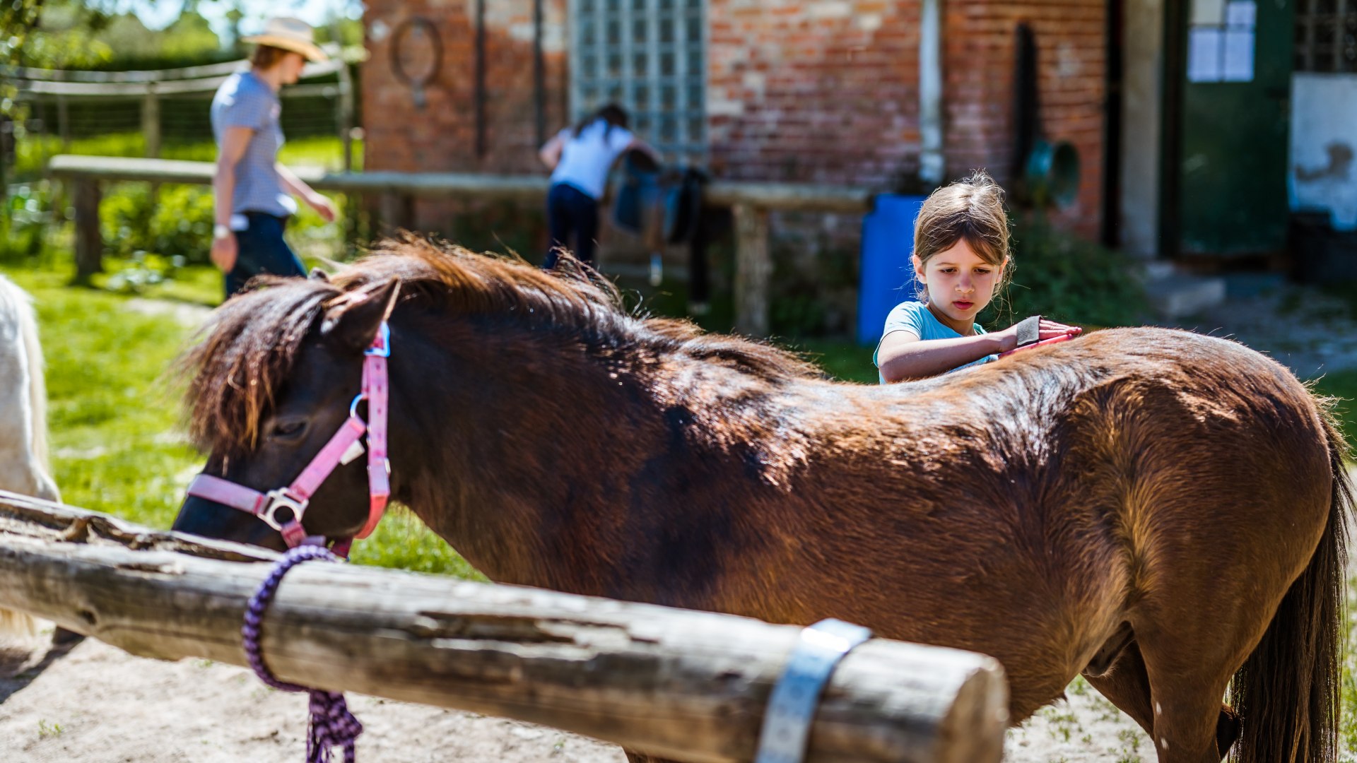 Striegeln ist auch eine Form von Liebhaben: Gästekind Mona mit Pferd Anton., © TMV/Tiemann