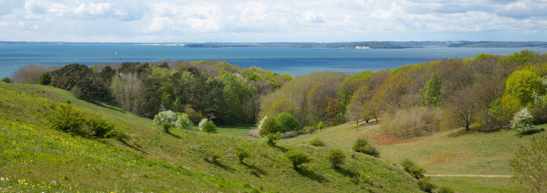 Aussichtspunkt Zicker Berg mit grünen Hügeln, blühenden Wiesen, Wald und der Ostsee im Hintergrund unter einem leicht bewölkten Himmel.