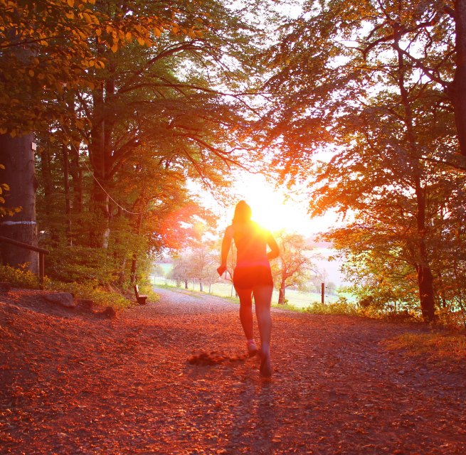 Symbolfoto | Graal-Müritzer Schneckenlauf, © Foto von Nathalie Désirée Mottet auf Unsplash