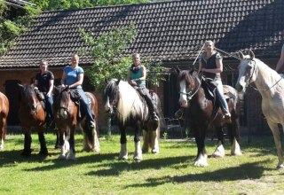 Pferd & Ross - herzlich willkommen auf dem Bio Erlebnishof Grittel, © Bio Erlebnishof Grittel/ Nicole Albs