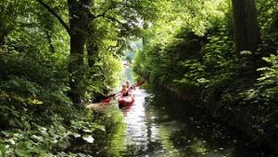 Dschungeltour: Ein lauschig grüner Kanal verbindet den Feldberger Haussee und den Breiten Luzin, © Christiane Würtenberger