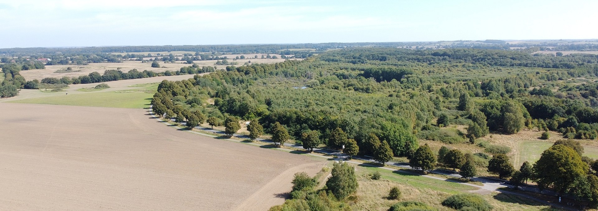 Klimawald Biosphärenreservat Schaalsee, © Landesforst MV