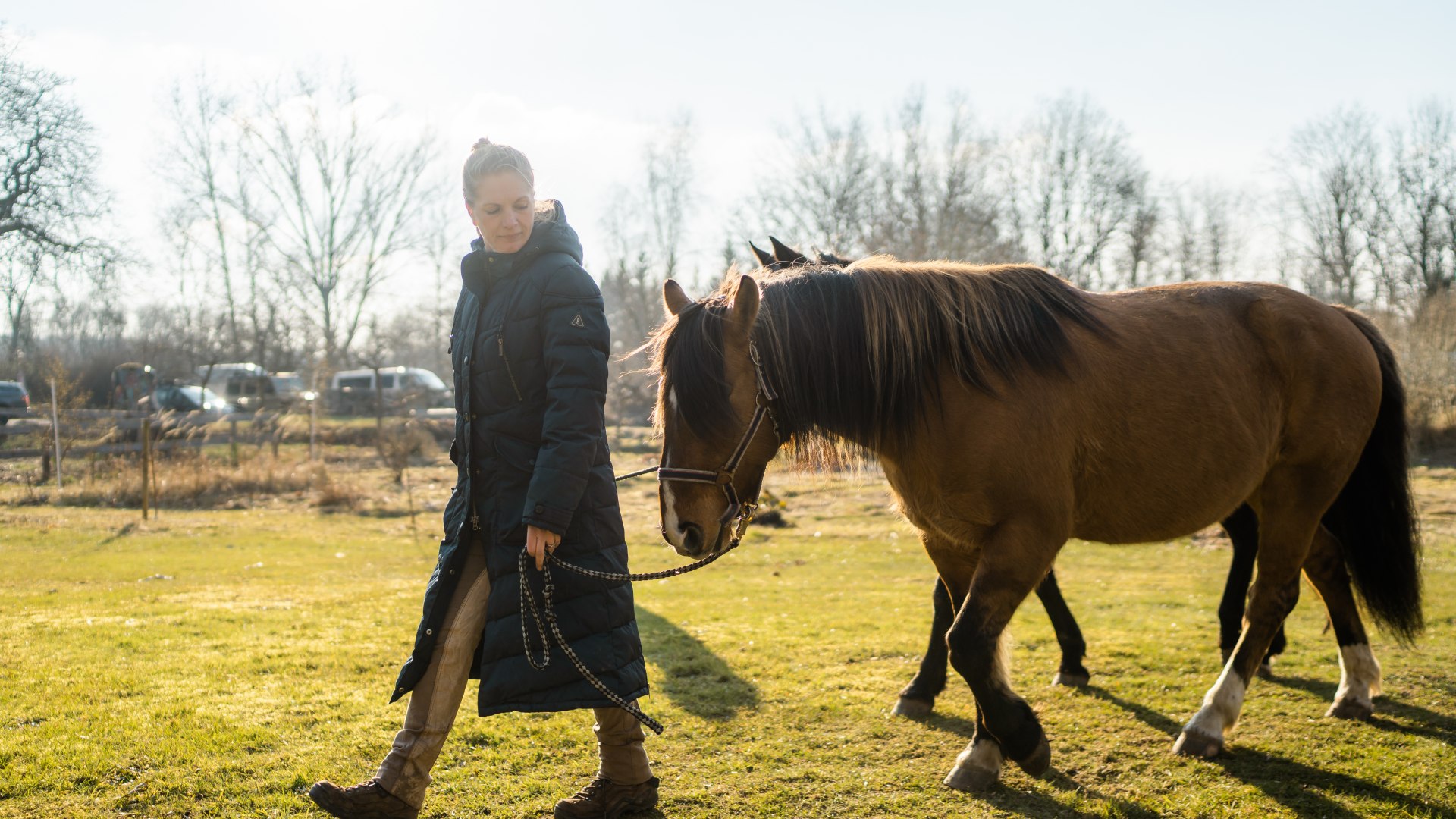 Levke vom Gutshaus Ehmkendorf mit Ihren zwei Ponys auf dem Weg zum Satteln., © TMV/Gross