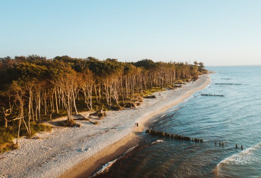 Das Ostseeheilbad Graal-Müritz liegt schön eingebettet zwischen ausgedehnten Sandstränden, kilometerlangen Küstenwäldern und der Rostocker Heide., © TMV/Friedrich