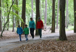 Ohne Schuhe geht's auf dem Barfußpfad über verschiedene Naturmaterialien wie Holz, Steine und Tannenzapfen., © TMV/outdoor-visions.com