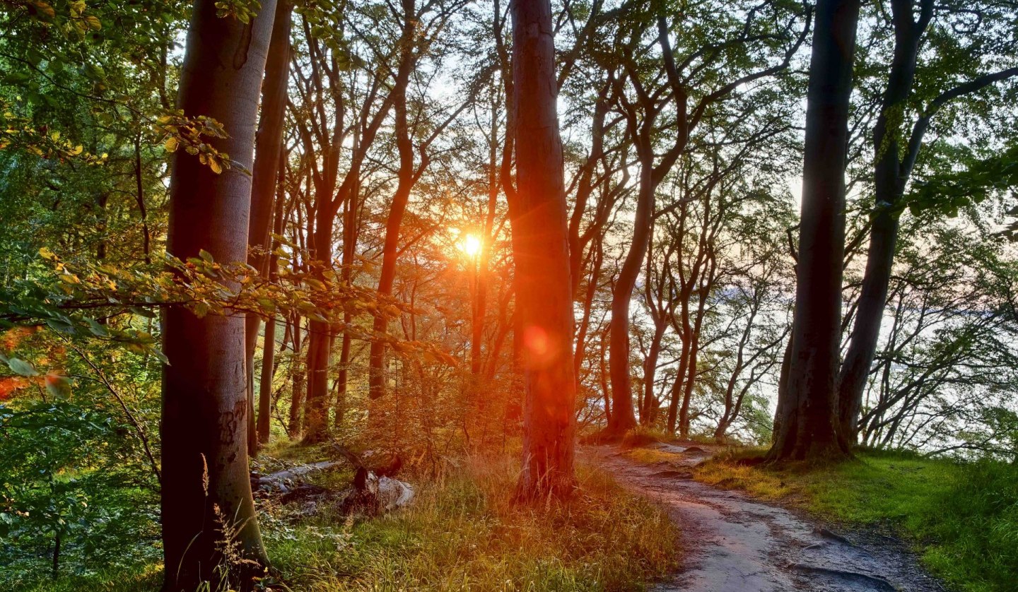 Literarischer Spaziergang (c) Kurverwaltung Goehren Martin Stoever_07-2019_P5I1472_71_70_69_68_HDR projects-2, © Kurverwaltung Goehren / Martin Stoever