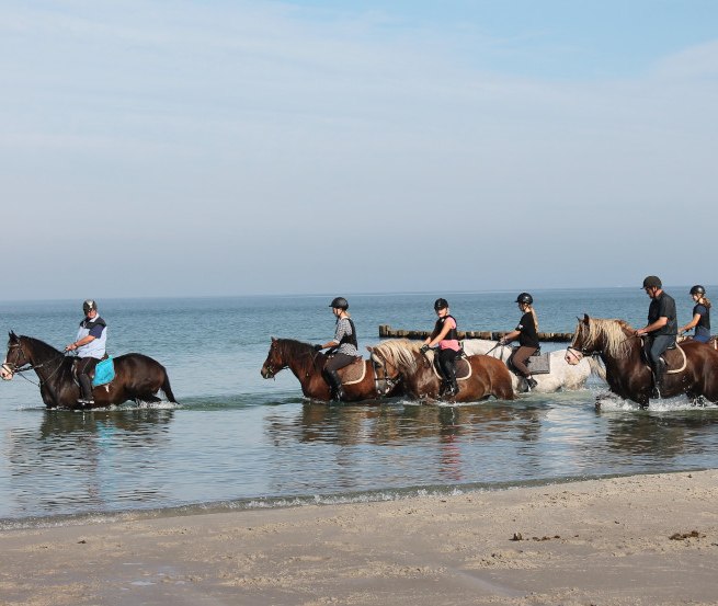 Ausritt an Bodden und Ostseeküste, © Reit- und Feriencamp Illner