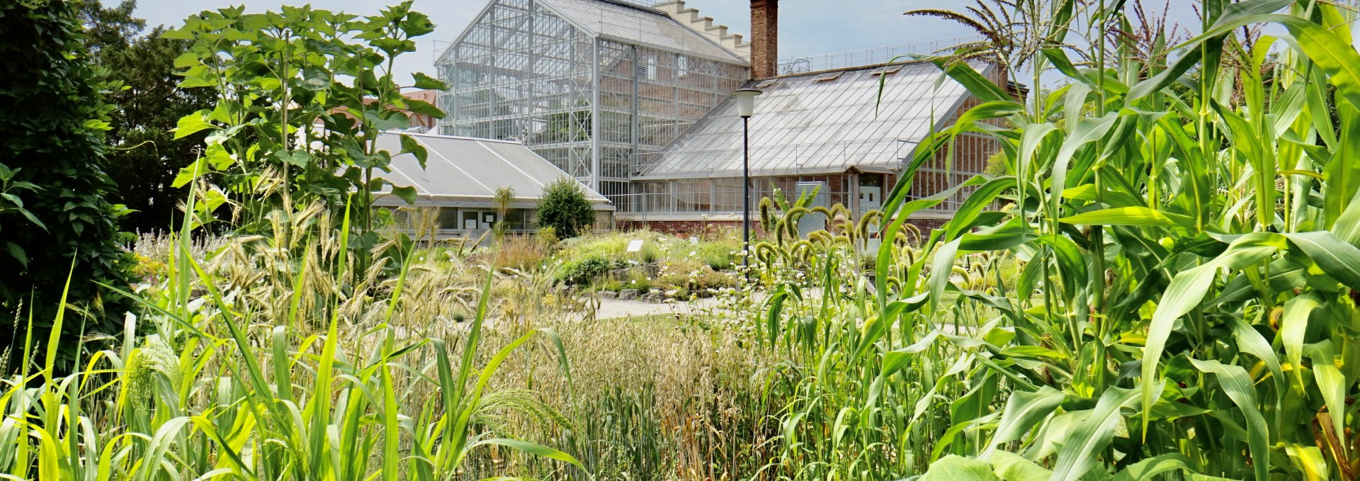 Botanischer Garten, © Gudrun Koch