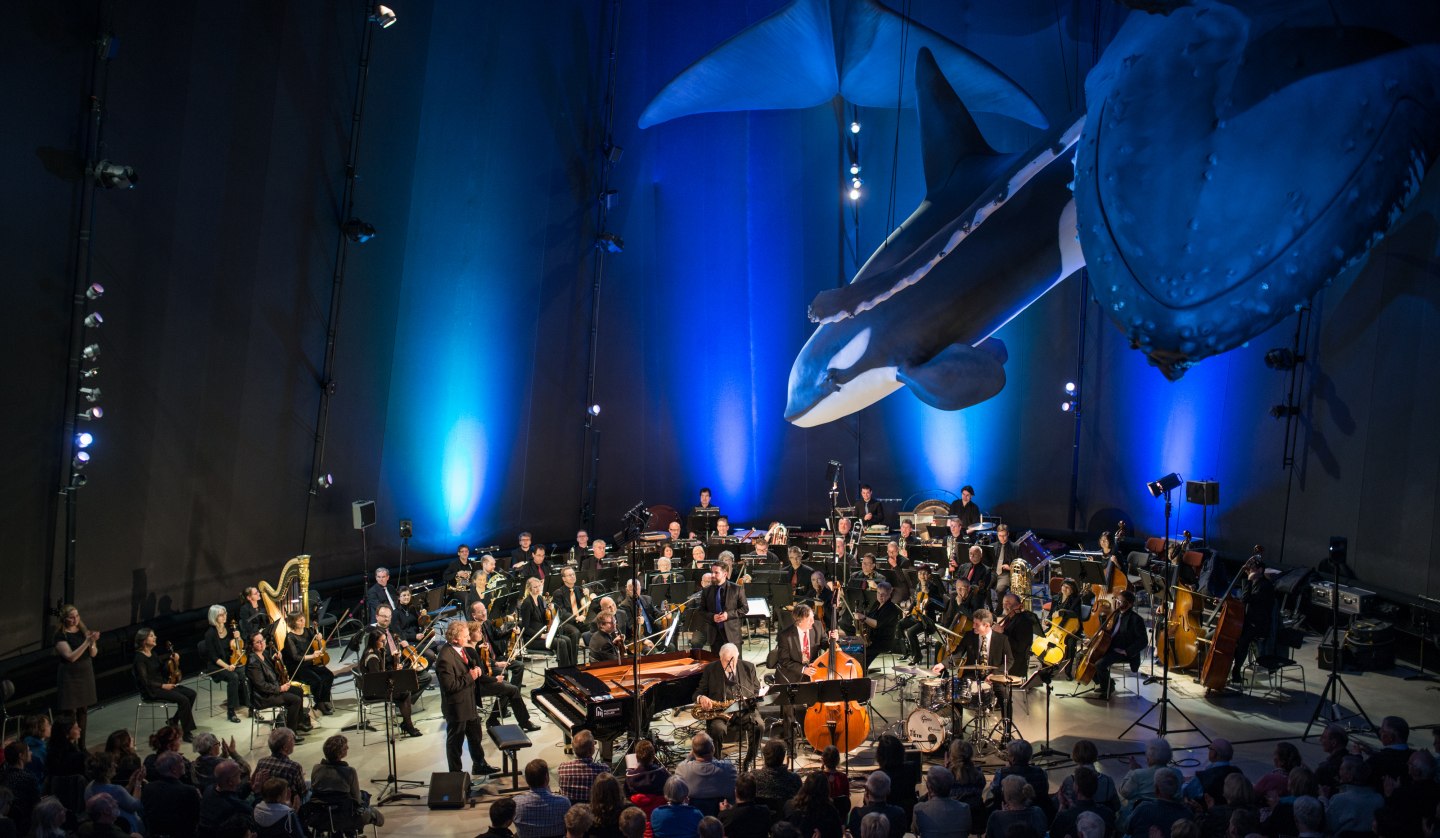 Musik vor einmaliger Kulisse: unter den Riesen der Meere im OZEANEUM sind Konzerte besonders stimmungsvoll. (Foto: Johannes-Maria Schlorke/Deutsches Meeresmuseum Stralsund)