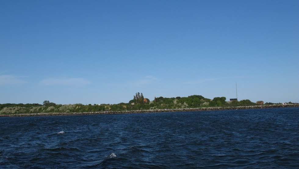 Seeseitiger Blick auf die Insel mit der biologischen Station, © TMV