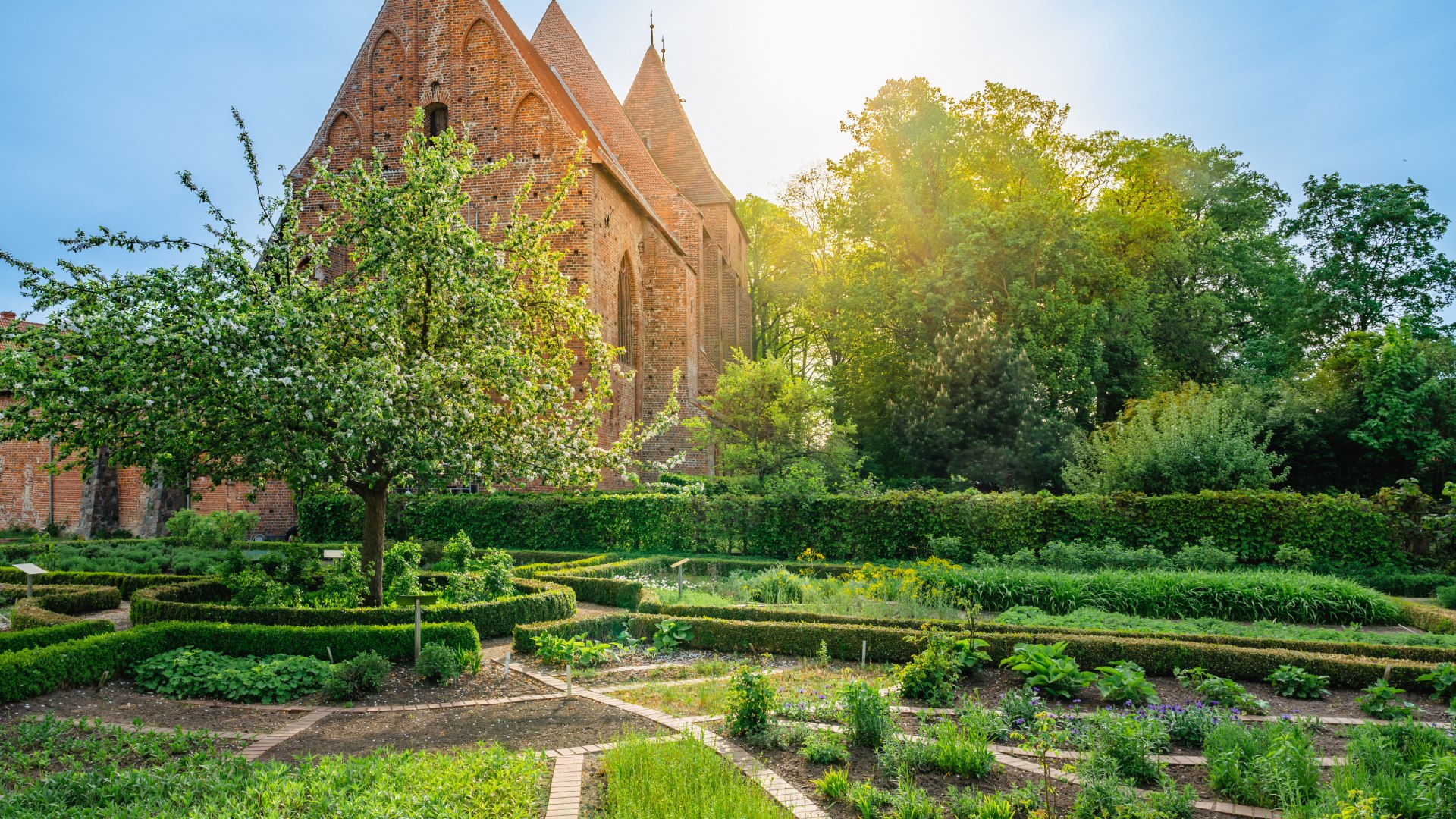 Biblische Pflanzen, Kräuter und ein Apfelbaum: Die Beete im Klostergarten Rehna sind reich und vielseitig bepflanzt. Das Klostergelände ist mittlerweile Veranstaltungsort, der Garten durchgehend öffentlich zugänglich., © TMV/Tiemann