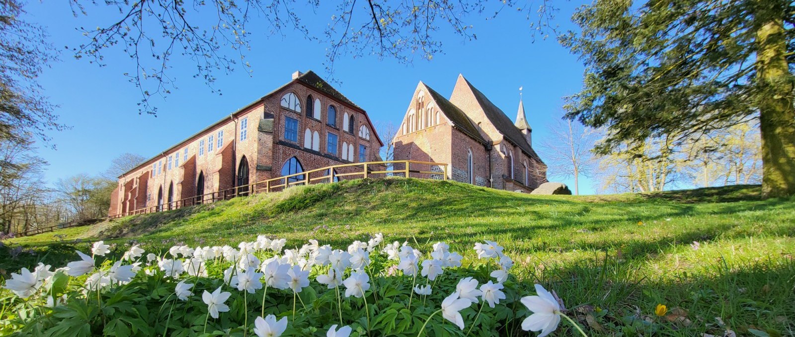 Kloster Zarrentin Anemonen, © Tourismusverband Mecklenburg-Schwerin