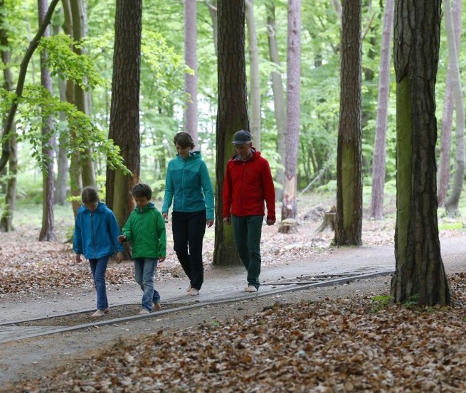 Ohne Schuhe geht's auf dem Barfußpfad über verschiedene Naturmaterialien wie Holz, Steine und Tannenzapfen., © TMV/outdoor-visions.com