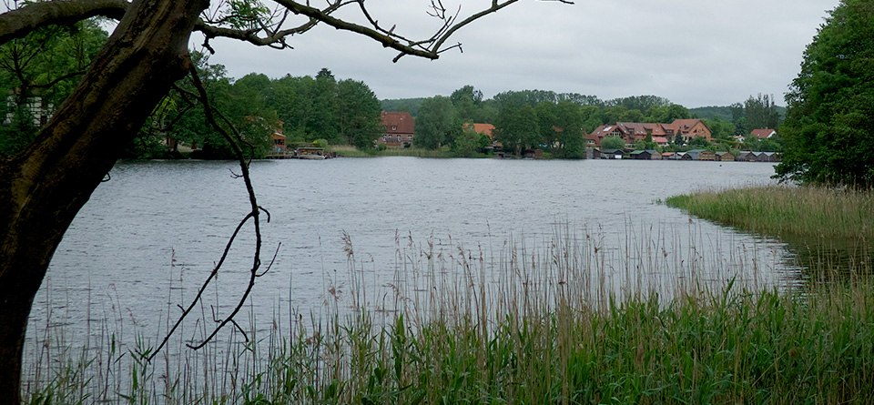 Am Feldberger Haussee, © F. Krull