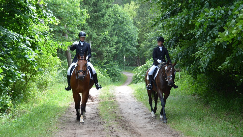 Ausreiten mit dem Reiterhof Groß-Stubben heißt vorallem Natur genießen, © Reit- und Fahrverein Poseritz e.V./ Thomas Krimmling