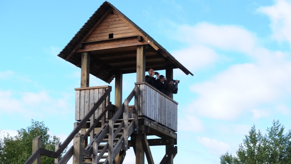 Der Aussichtsturm an der Dütschower Hochbrücke ist ein beliebter Haltepunkt für Gäste der Lewitz., © TMV/Foto@Andreas-Duerst.de