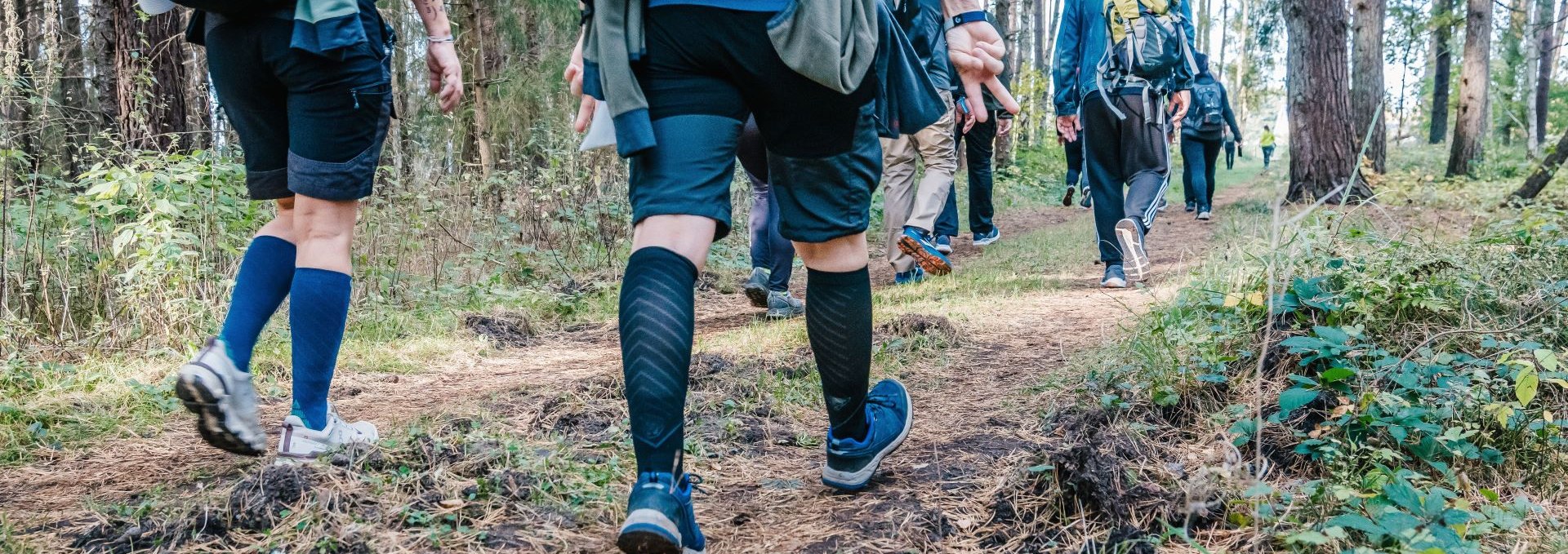 Wanderer beim Megamarsch Rügen 2024 unterwegs durch den Wald, © TVR / Mirko Boy