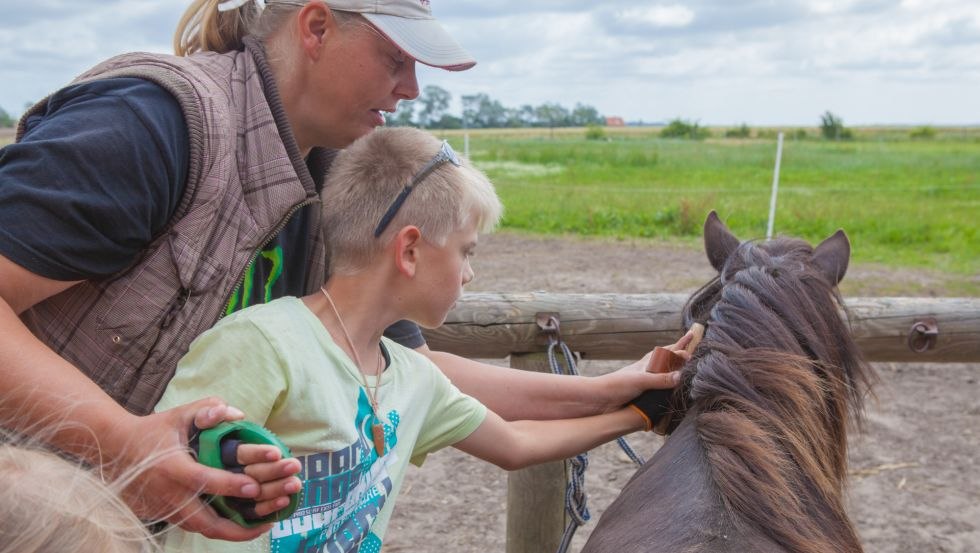 Rügen-Ferienhof: Erster Kontakt beim Pferd, © TMV/Raff