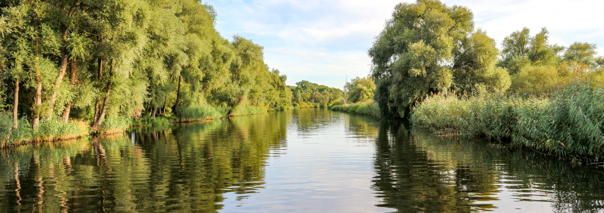 Die Naturlandschaft der Peene, © TMV/Witzel