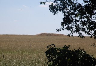 Das Hügelgrab im Getreidefeld ist schon von weitem sichtbar., © Gabriele Skorupski