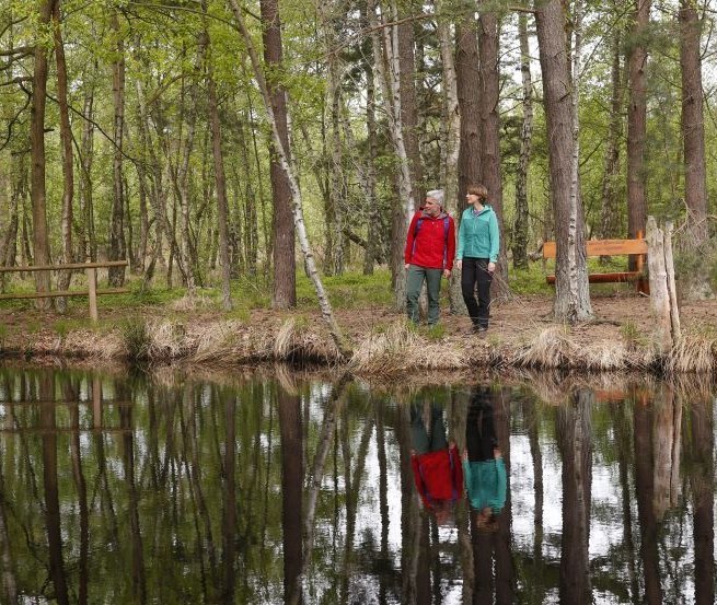 Wanderer am Moorsee im Großen Ribnitzer Moor, © TMV/outdoor-visions.com