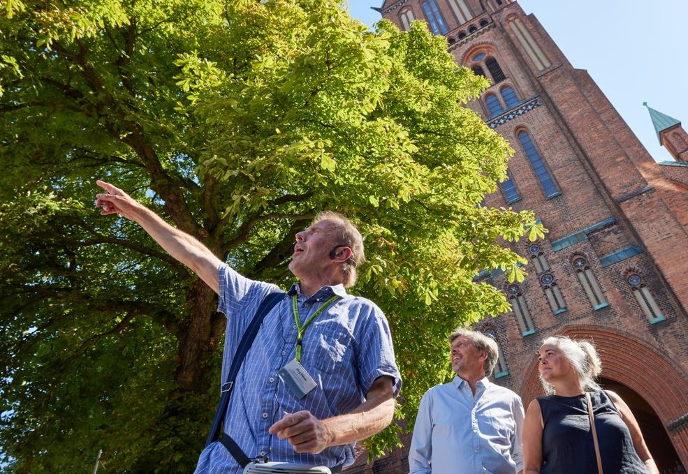 Stadtführung Schwerin | Schweriner Dom, © Oliver Borchert